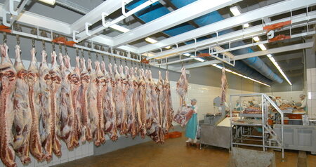 Дезинсекция на мясокомбинате в Протвино, цены на услуги